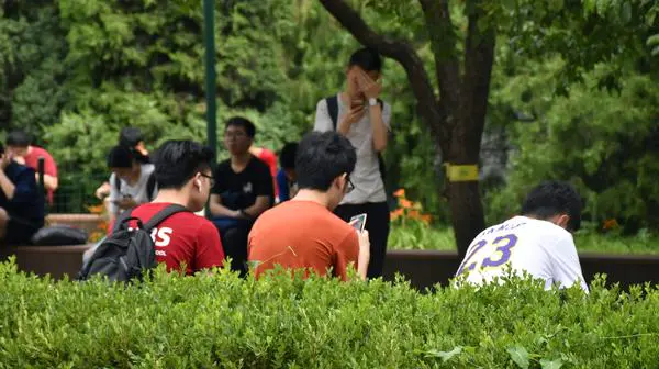 头图